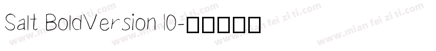 Salt BoldVersion 10字体转换
